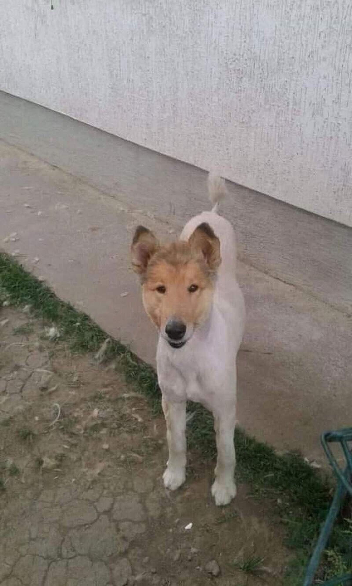 Ostras, es clavado a Richard Gere