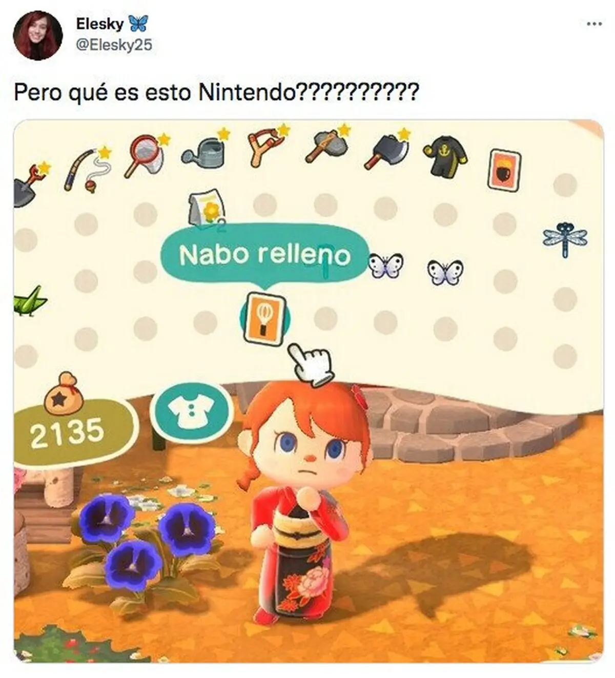 Pero bueno Nintendo