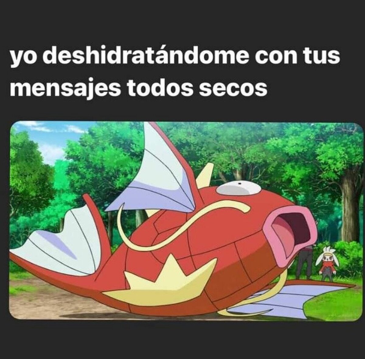 Te voy a tirar awita