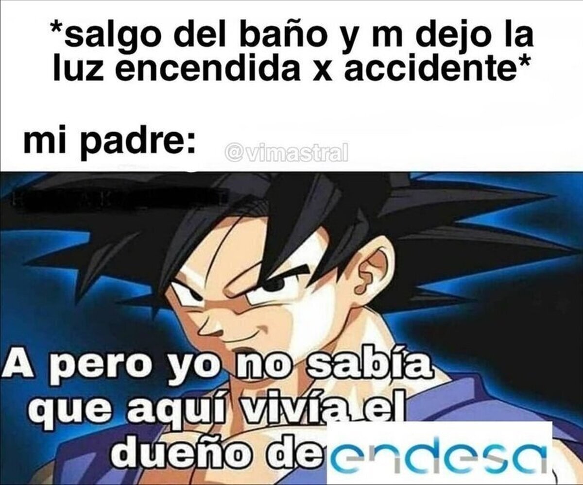 No sabía que vivimos con el dueño de Endesa