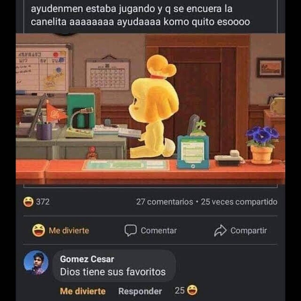 Los furros lo envidian 