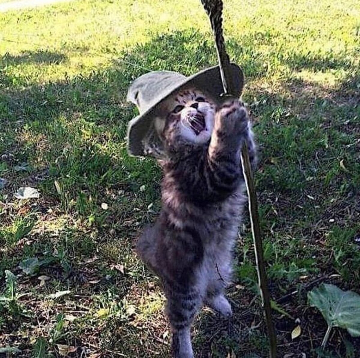 “You shall not ps ps ps ps.” 