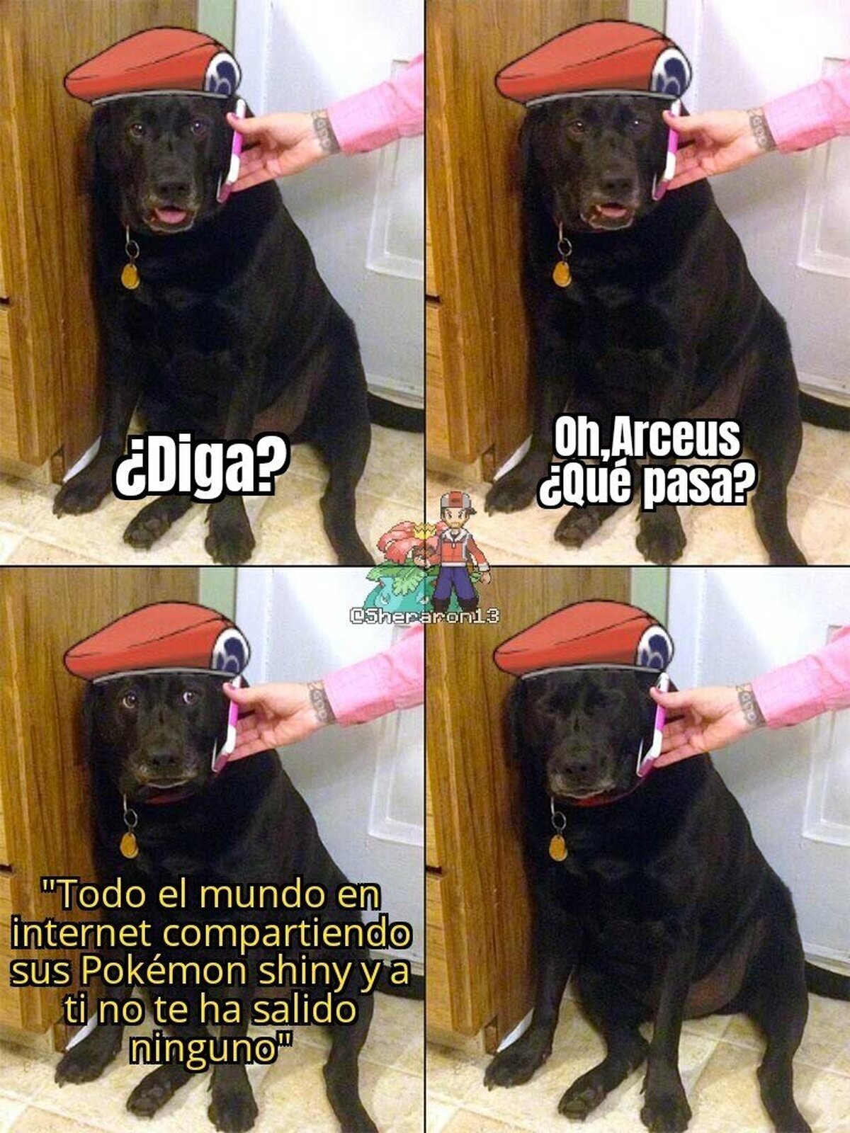 Intenta no llorar