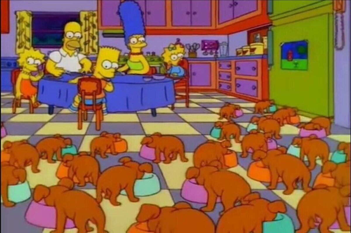Si mi padre me dejara quedarme con todos los perritos que veo en la calle  
