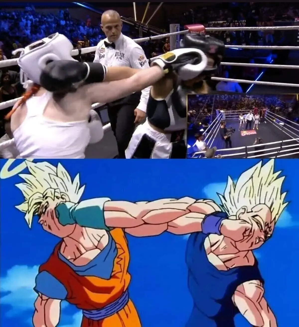 Literalmente Ari vs Paracetamor recrearon el meme.  