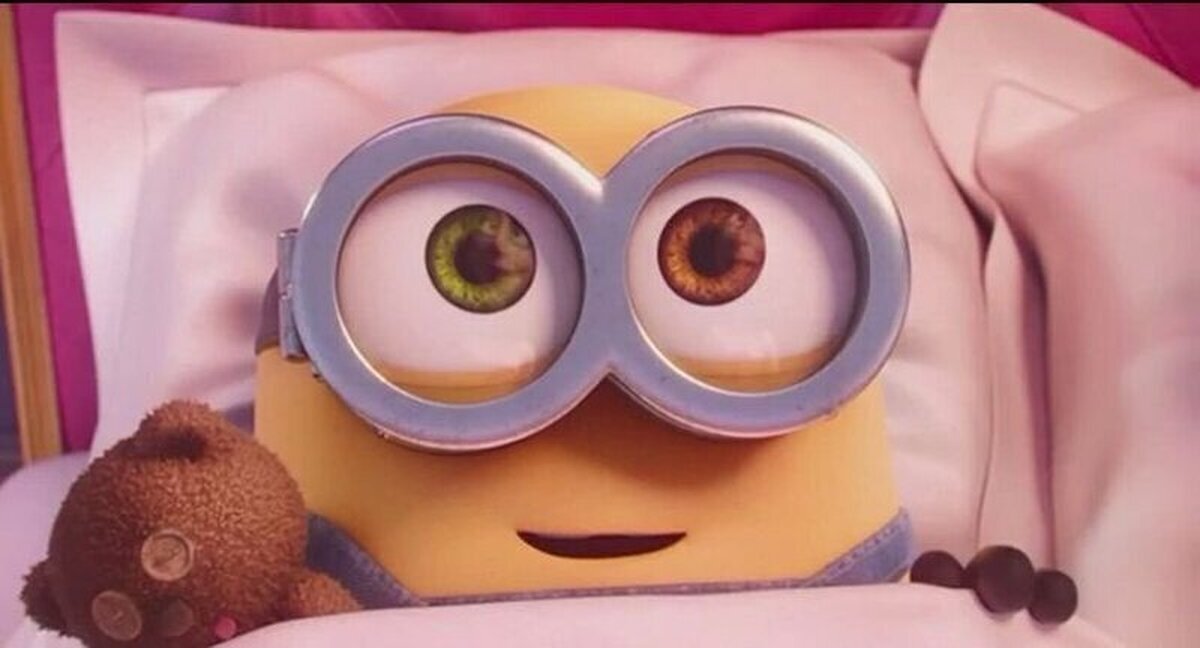 Bob es el mejor minion, y si no, desmiéntemelo