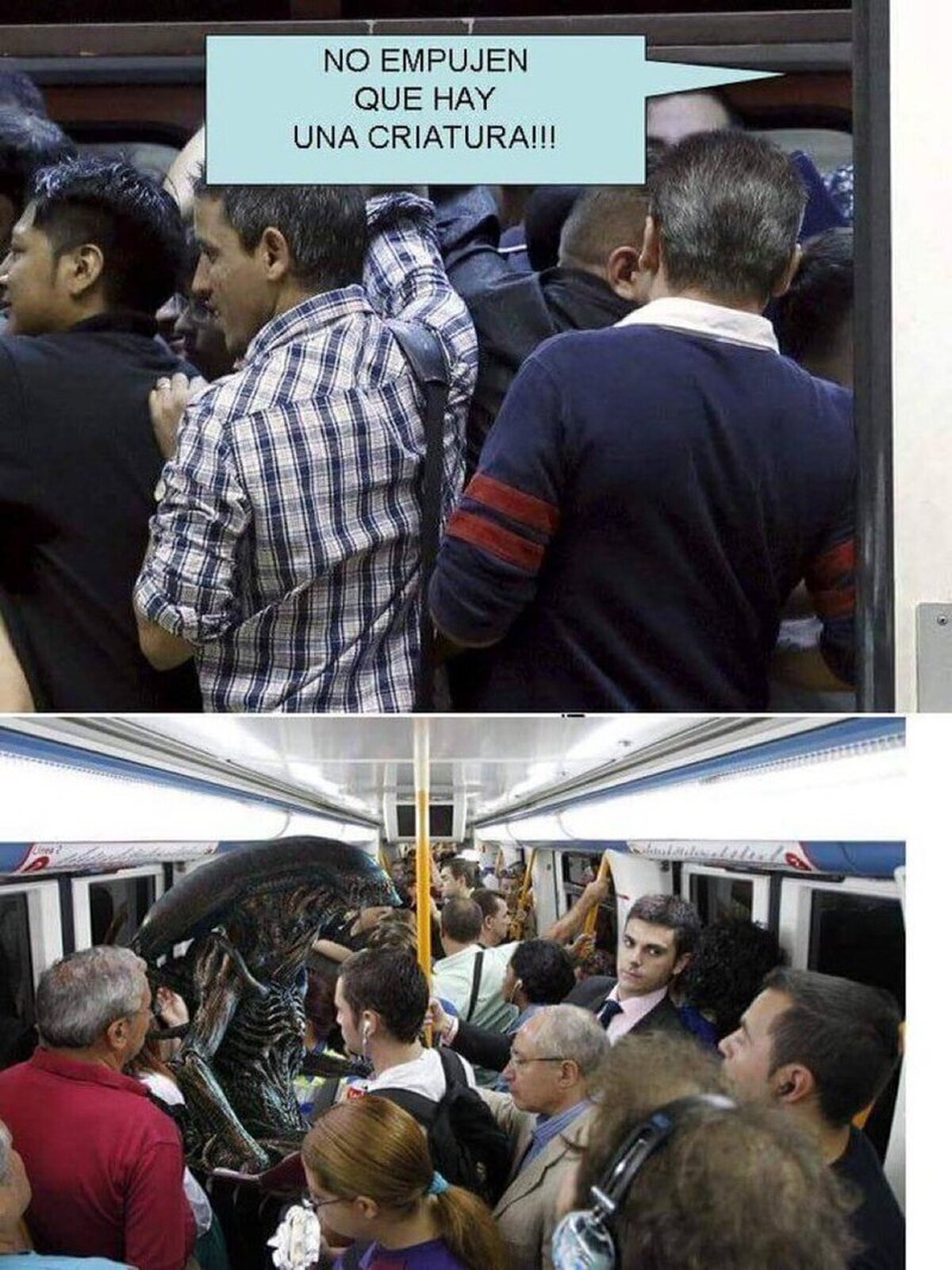 El chistaco del día