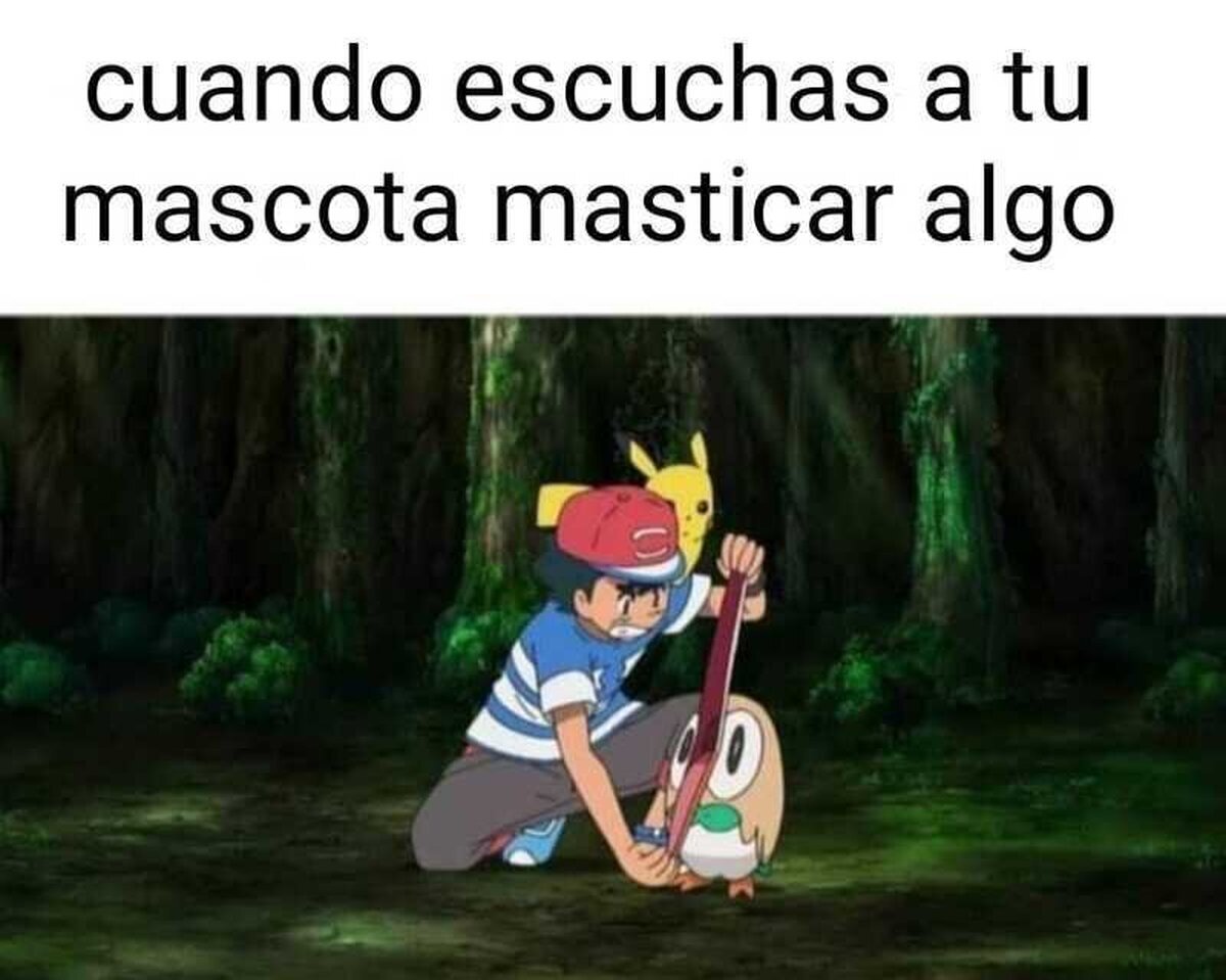 Que la abras ya, leñes