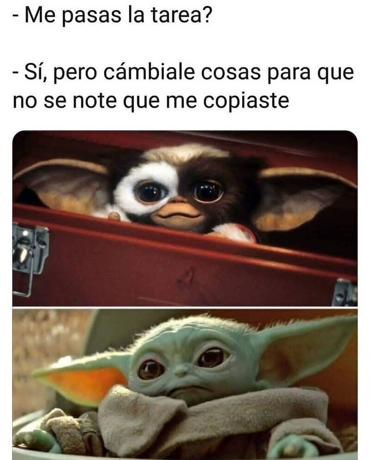 Canta demasiado  