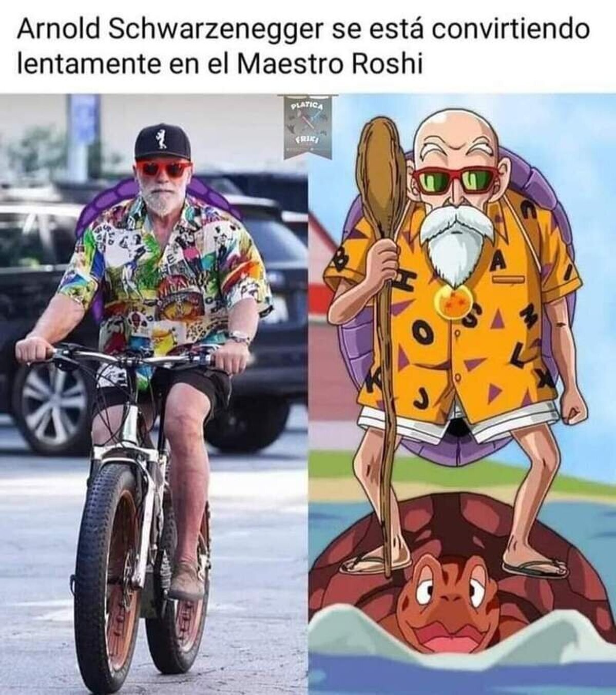 Arnold se está transformando en el Maestro Tortuga  