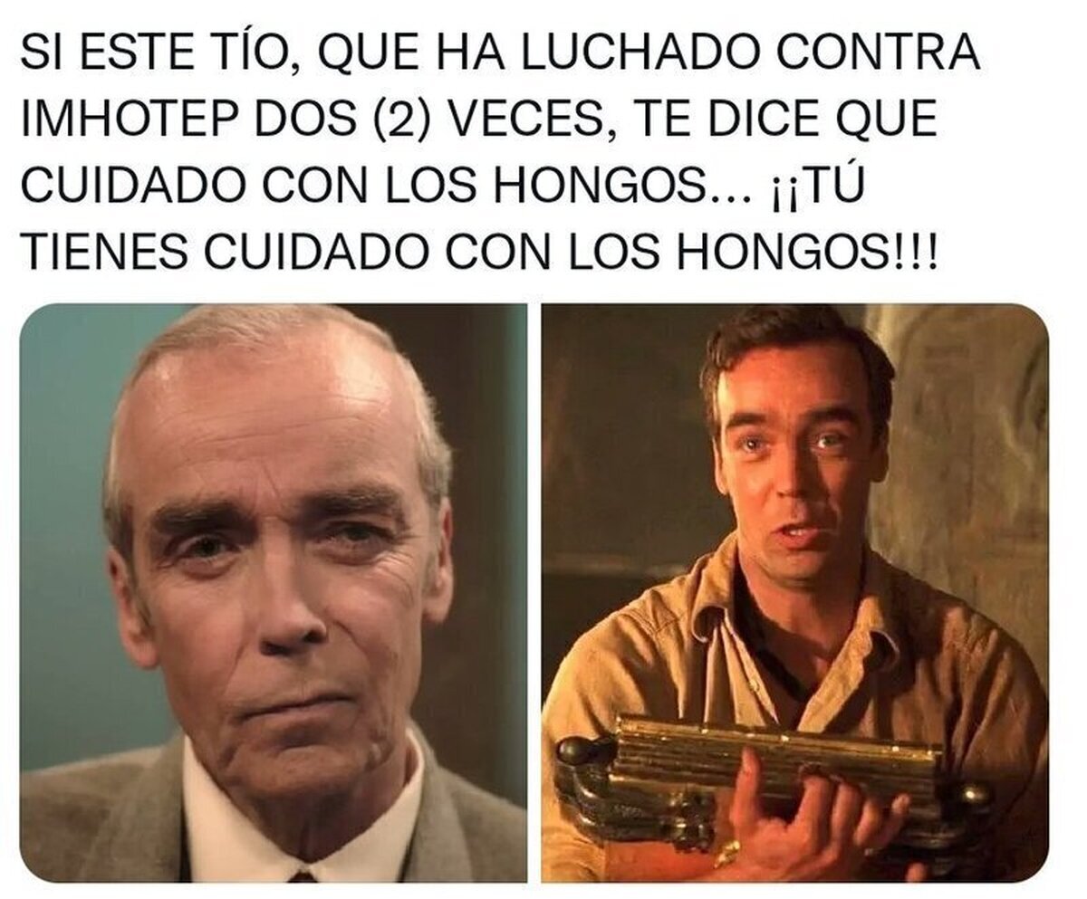 Verdades como puños