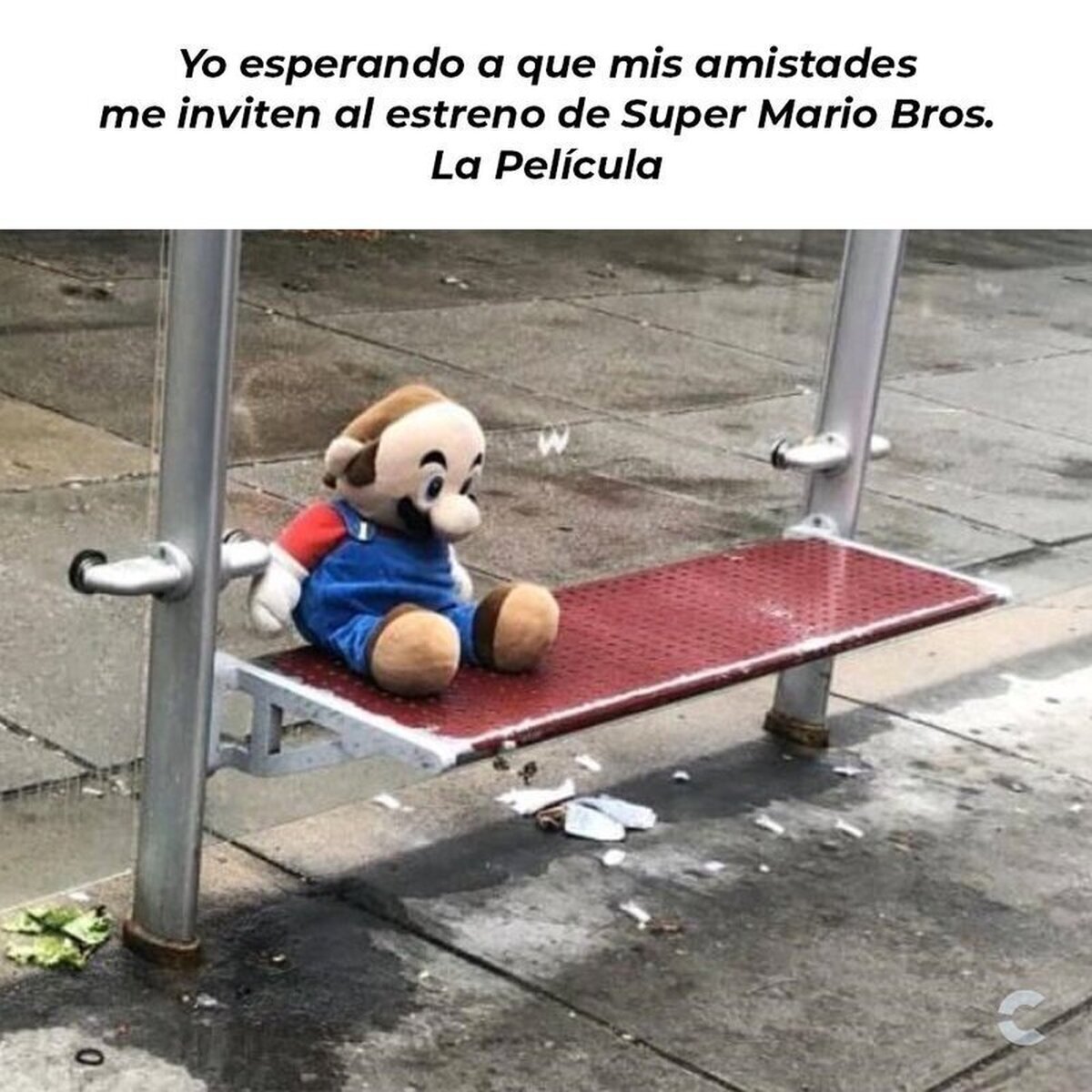 ¿irás a verla con los colegas?