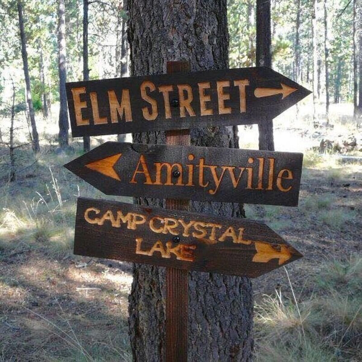 ¿Qué camino escoges?