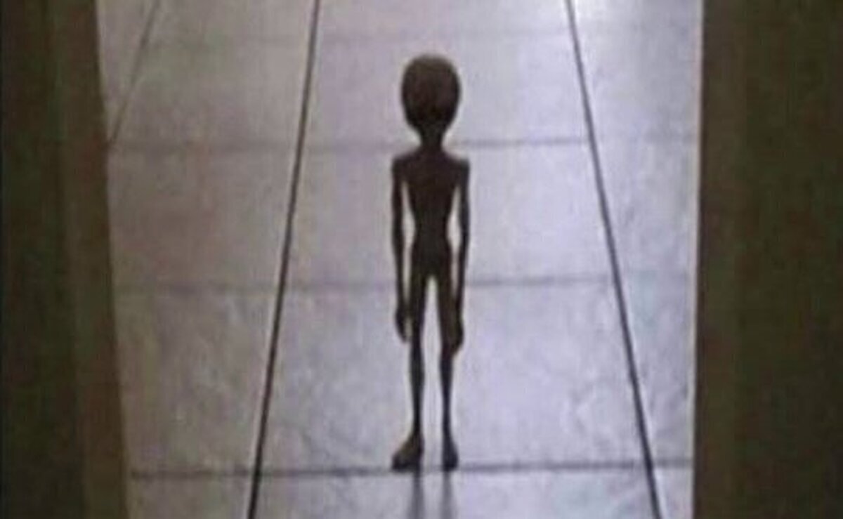 Mi alien del Área 51 queriendo ver Barbi mientras yo veo la trilogía de "el señor de los anillos" por octava vez este mes