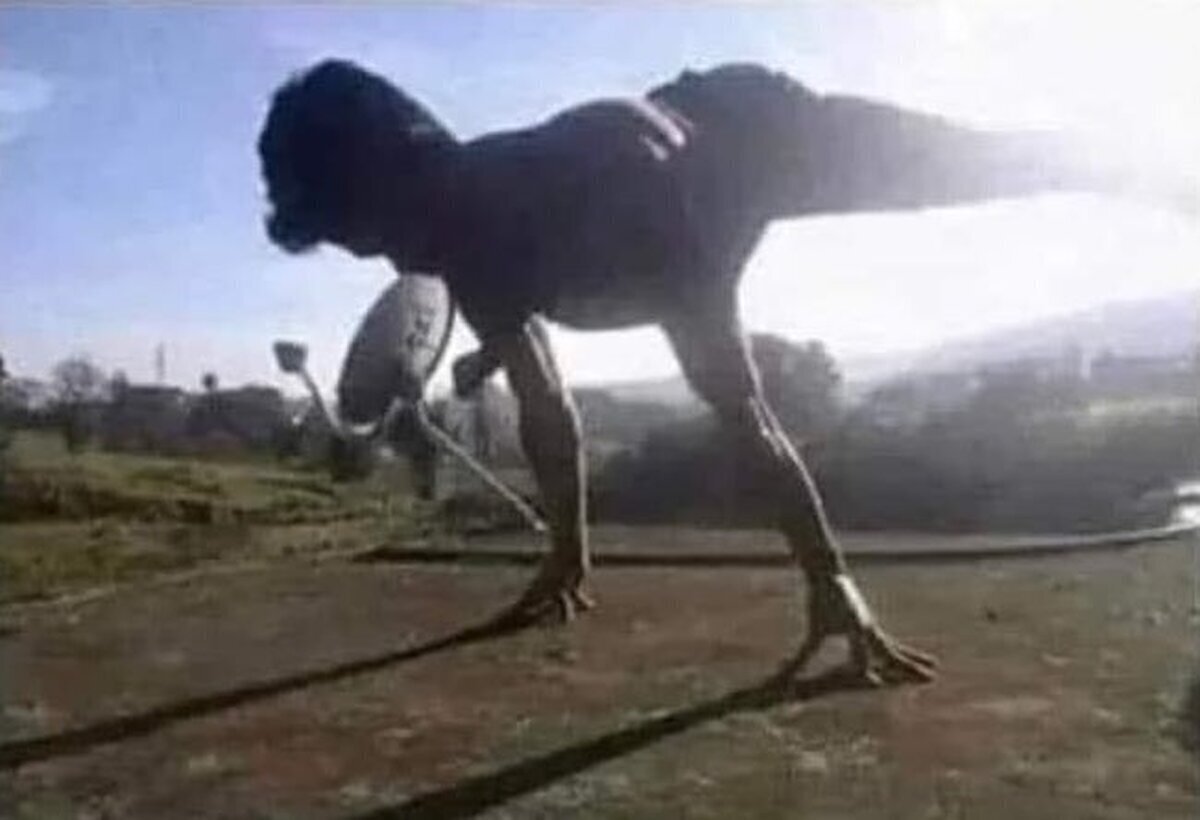 Si lo primero que has visto es un T-rex, es que estás demasiado obsesionado con “Parque jurásico”.