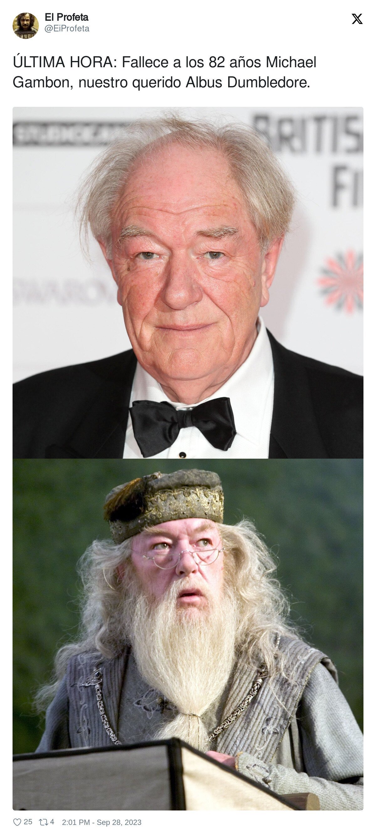 DEP Michael Gambon, nuestro querido Albus Dumbledore