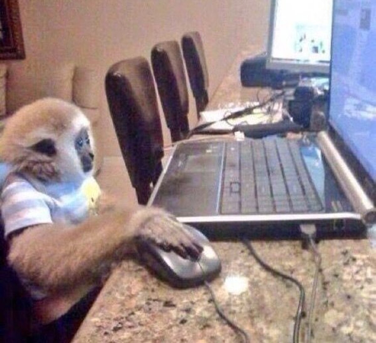 Mi vecino del animal crossing viendo cuántas hipotecas le tiene que pagar a Tom Nook