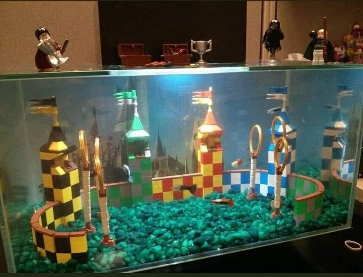 Estos peces han ido a Hogwarts antes que yo