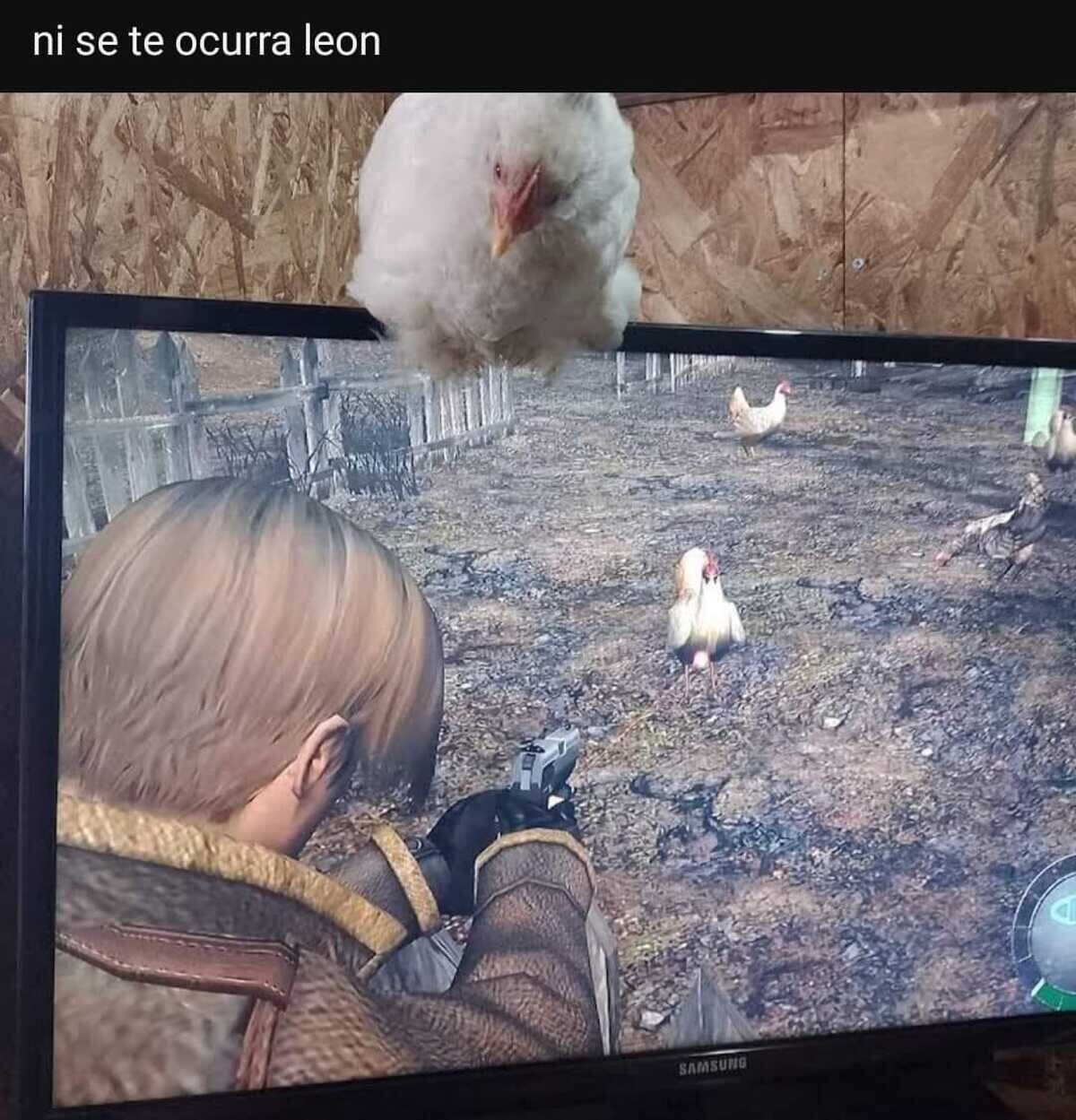 Yo no lo haría