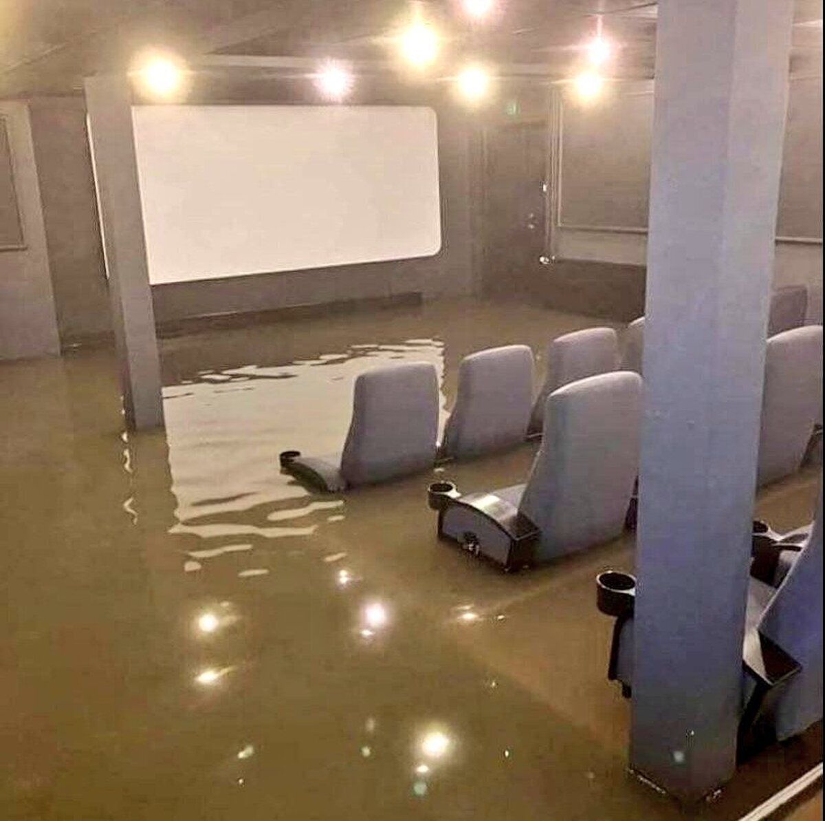 El lago de los cines