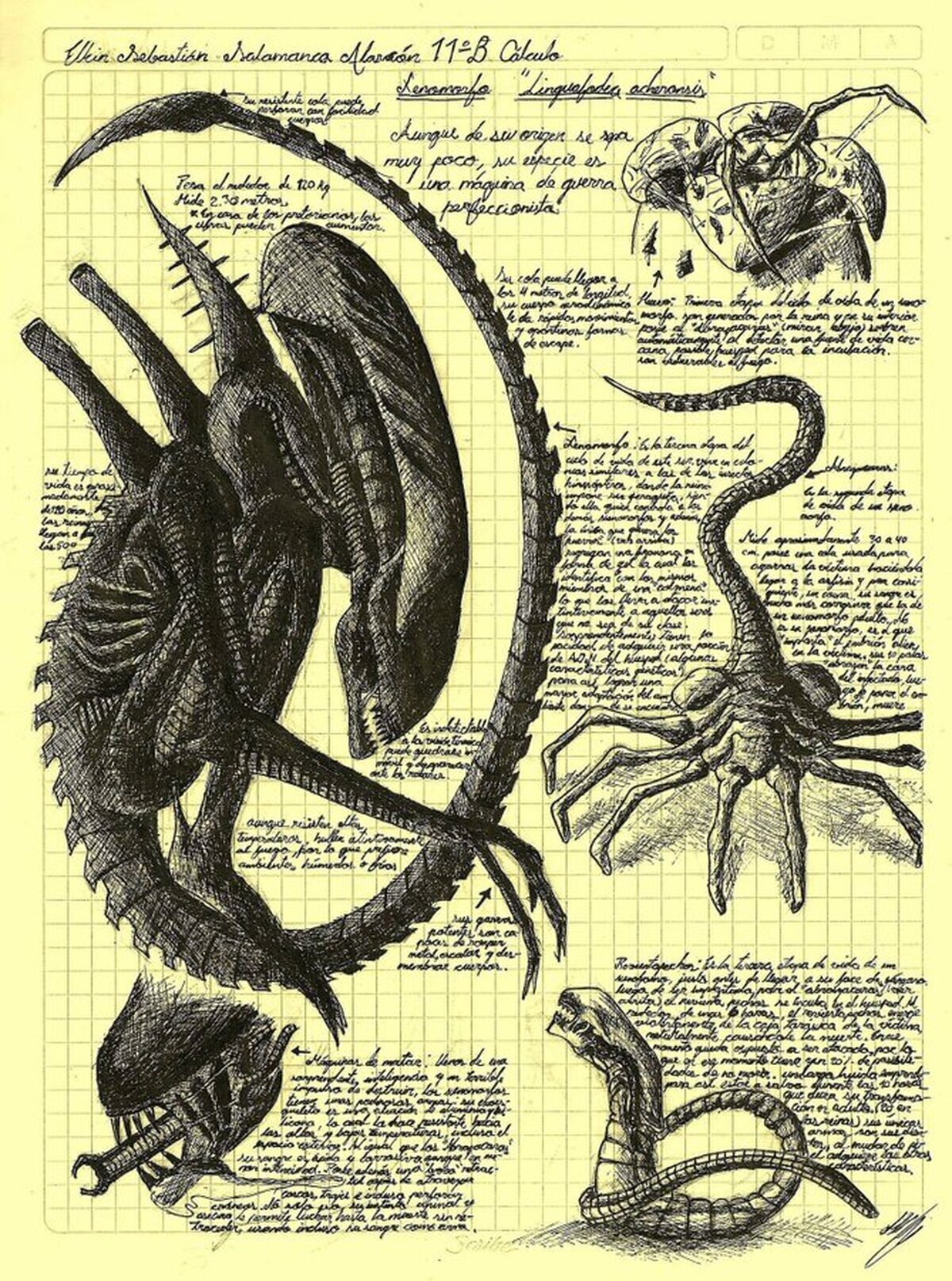 Vengo a recordaros cuando Leonardo Da Vinci hizo un boceto del ciclo vital del xenomorfo.