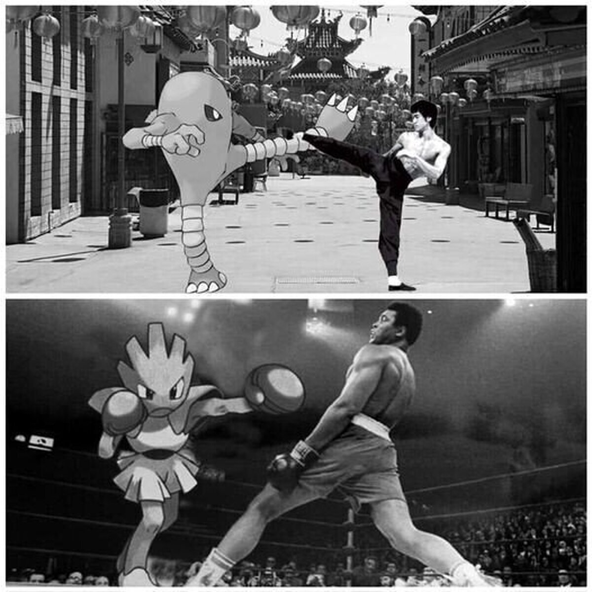 Fotos historicas del mundo pokemon 