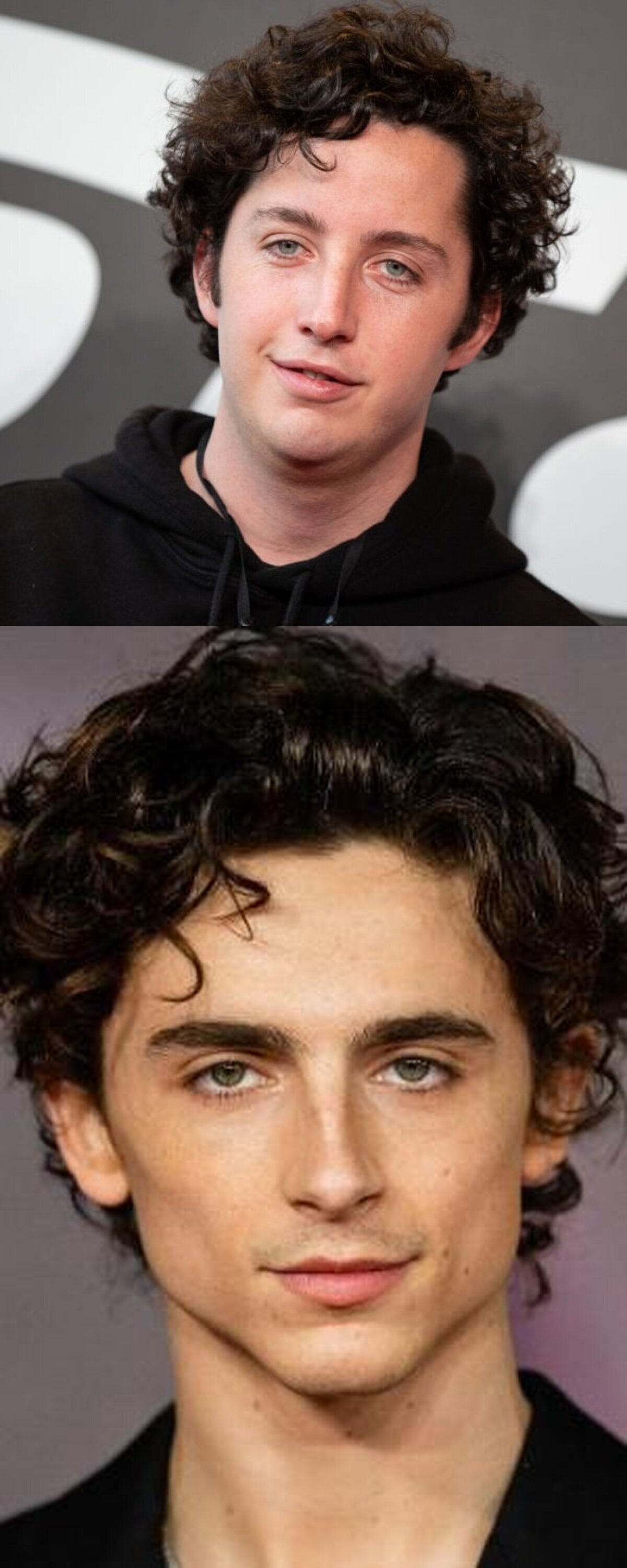Oye el pequeño Nicolás no se da un aire al Timothee Chalamet?