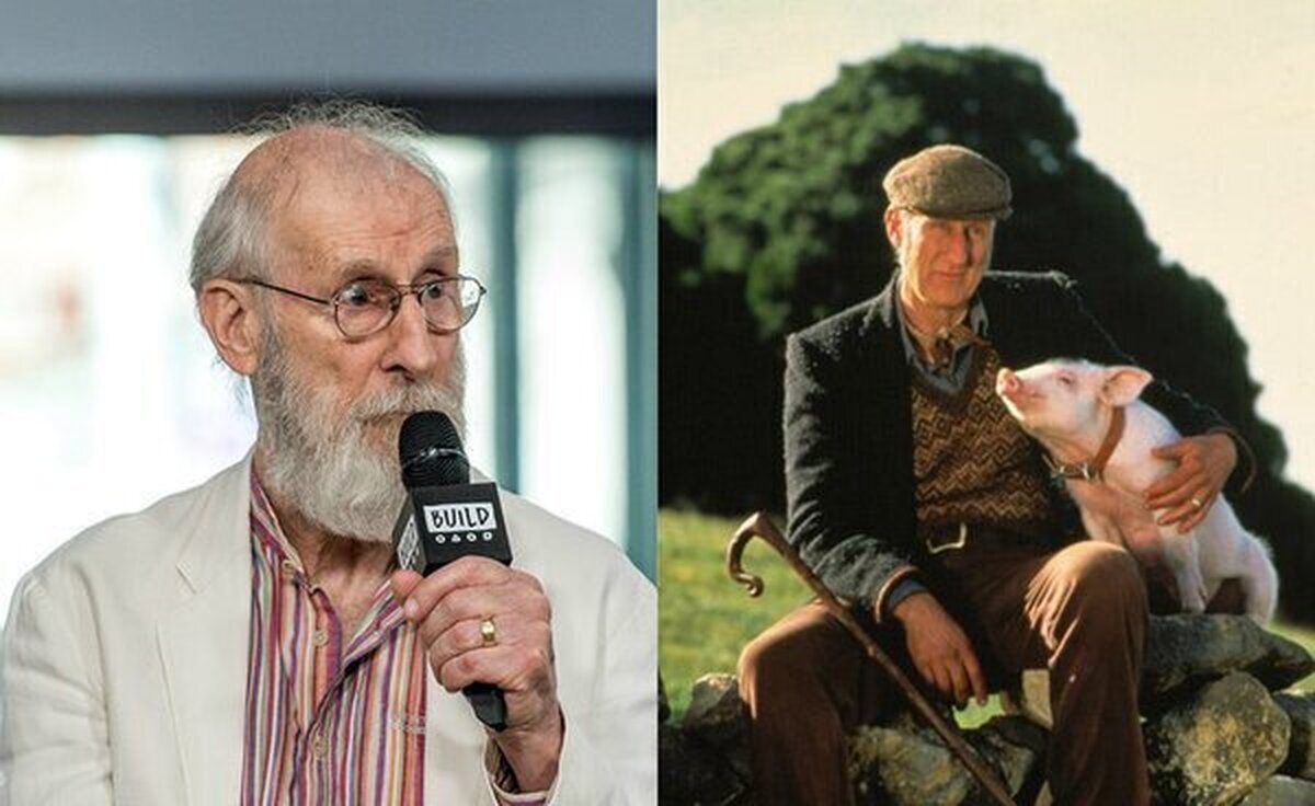 James Cromwell, el actor que has visto en un montón de pelis y series irá a prisión