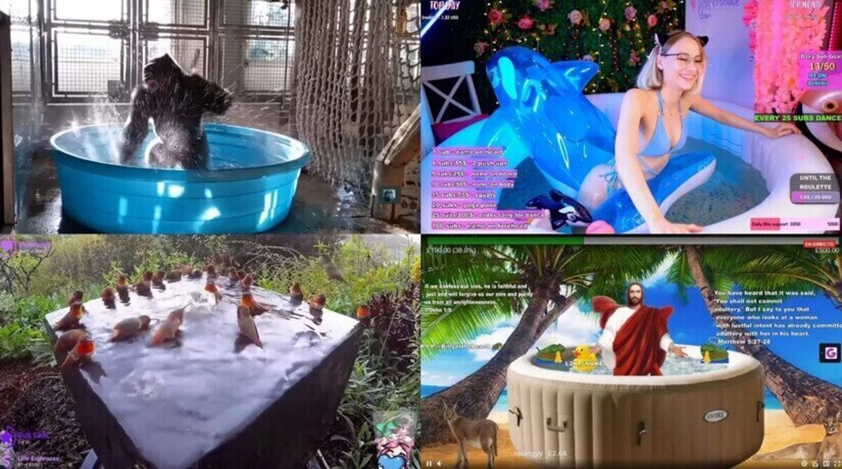 Twitch hace oficial la categoría de piscinas y jacuzzis pero se llenan de cosas realmente locas