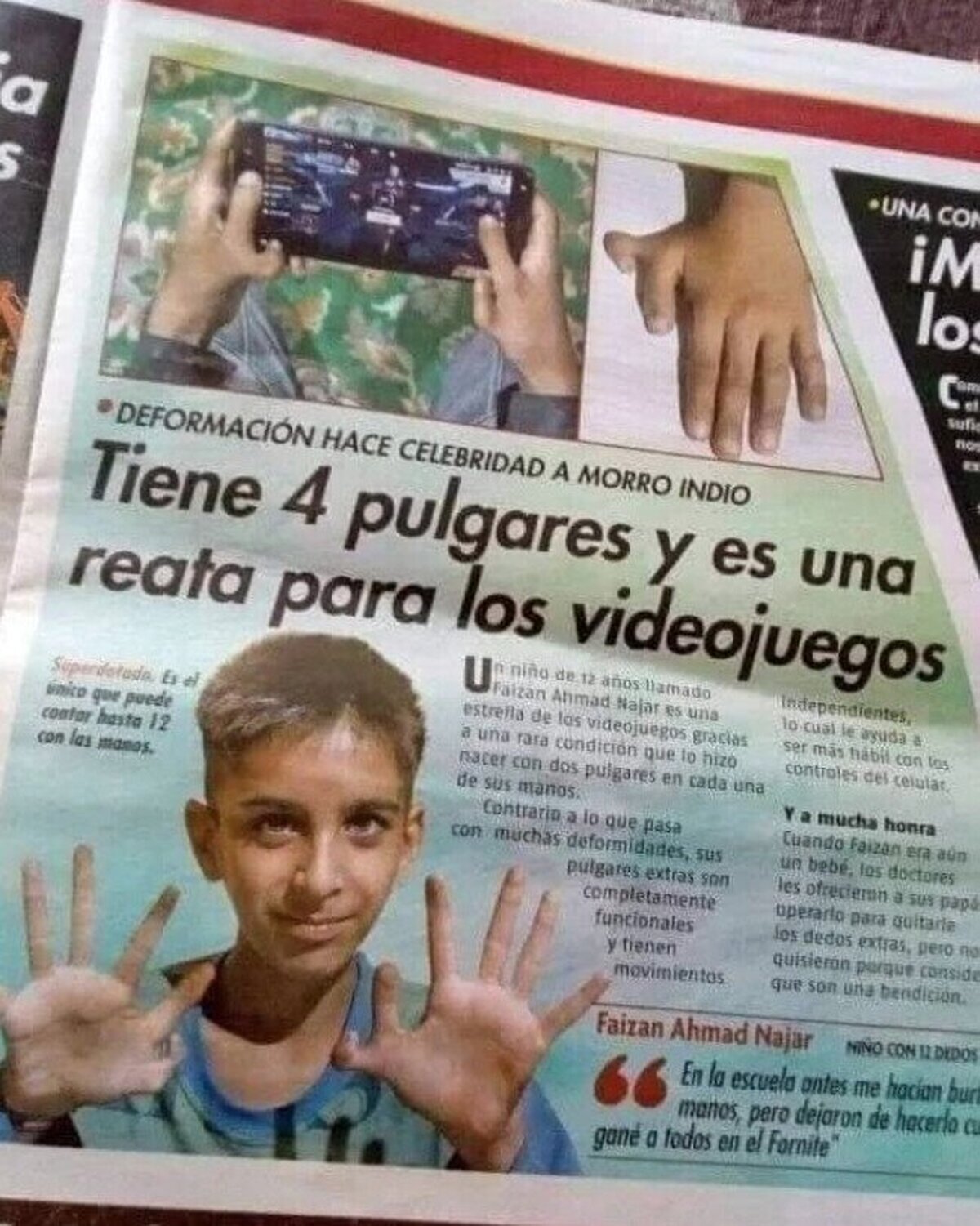 Evolución, hermano