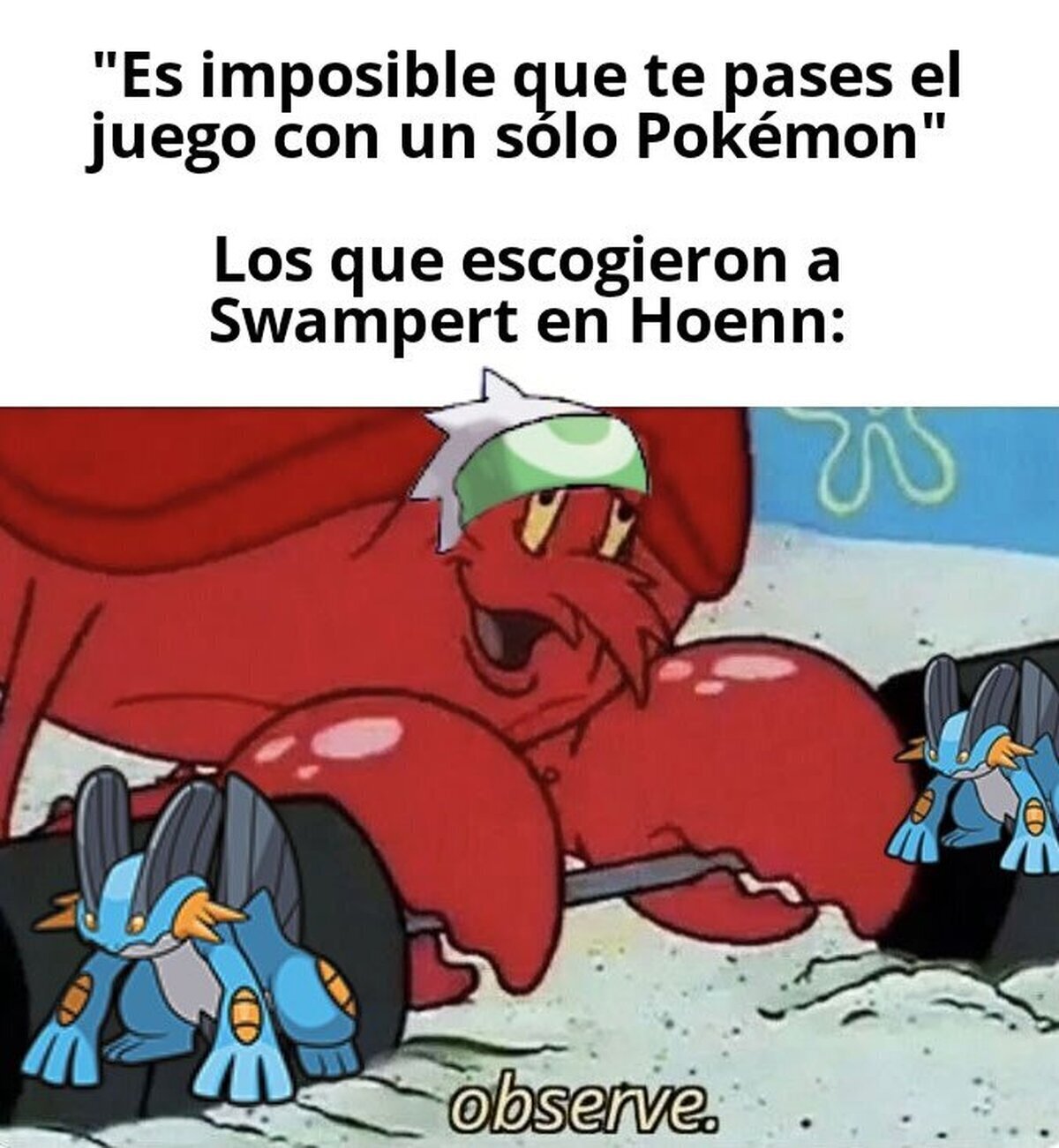 Mira y disfruta