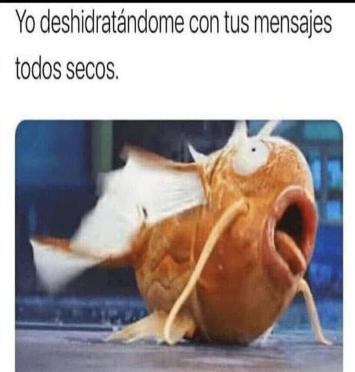 ¿Cómo eres así?