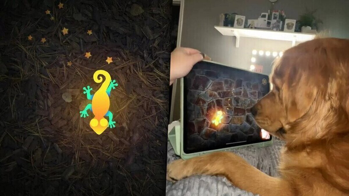 Te vas a enamorar del perrito gamer que juega a videojuegos en TikTok