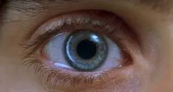 ¿De quién es este ojo?