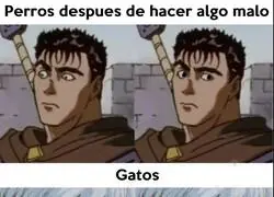 Cero sentido de culpa