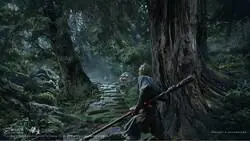 La épica edición coleccionable de Wukong