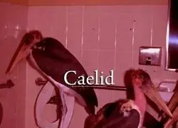 ¿Por qué todo en Caelid es gigante?