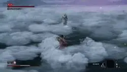 Este Modder combrobó que Malenia es definitivamente un boss de Sekiro en Elden Ring