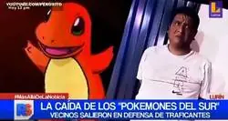 ¿Pero quien les pone esos nombres?