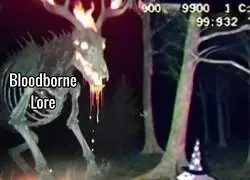 Los buenos memes de Bloodborne