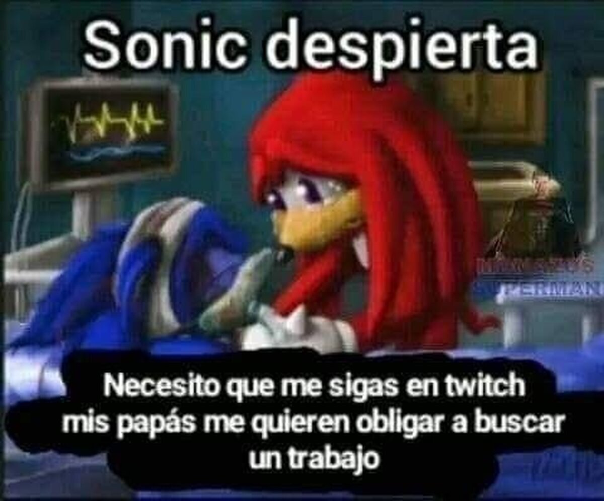 Necesito seguidores