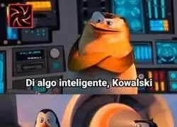 ¿Estás de acuerdo con Kowalski?