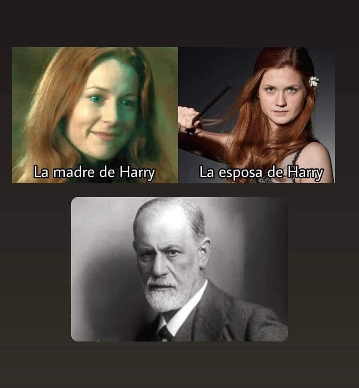 Mirá como te mira Sigmund...