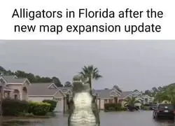 Los caimanes en Florida tras la actualización de expansión de mapa: