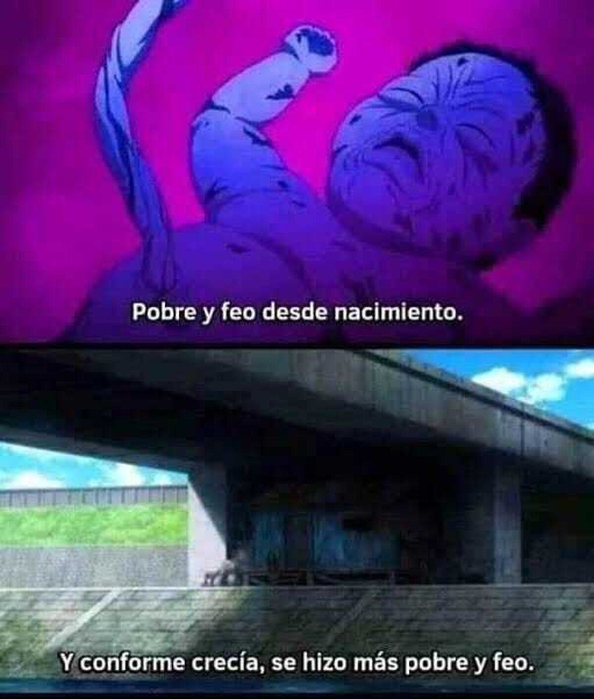 Qué descripción más propia