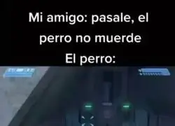 Disculpa si desconfío