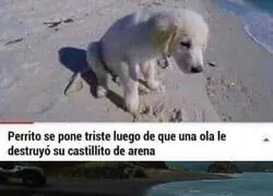 No te lo perdonaré