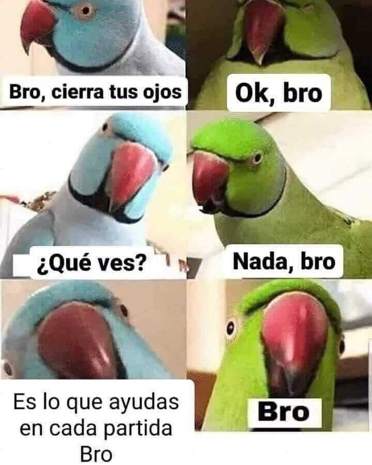 Mi contribución en el equipo