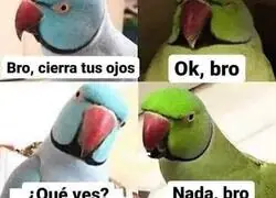 Mi contribución en el equipo