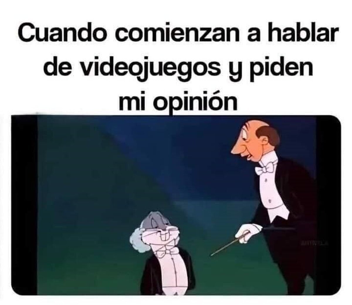 Yo sé de estas cosas